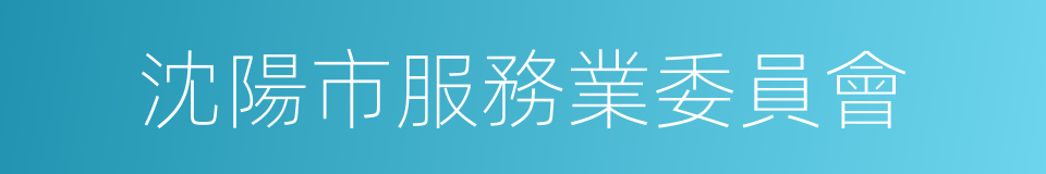 沈陽市服務業委員會的同義詞