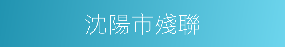 沈陽市殘聯的同義詞