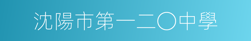 沈陽市第一二〇中學的同義詞