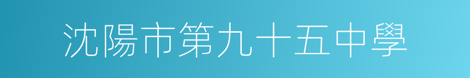 沈陽市第九十五中學的同義詞