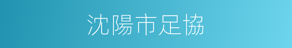 沈陽市足協的同義詞