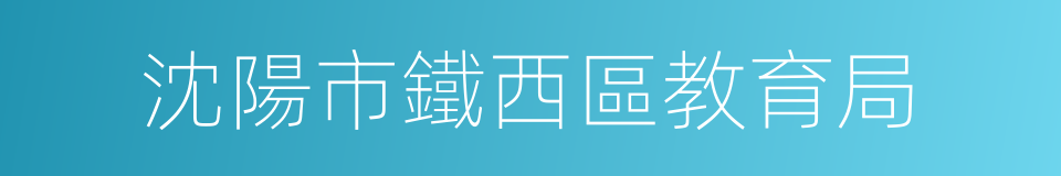 沈陽市鐵西區教育局的同義詞