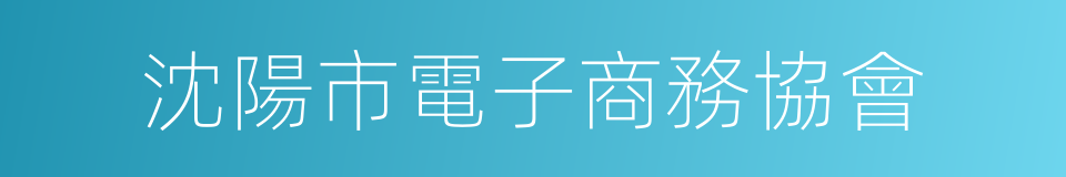 沈陽市電子商務協會的同義詞