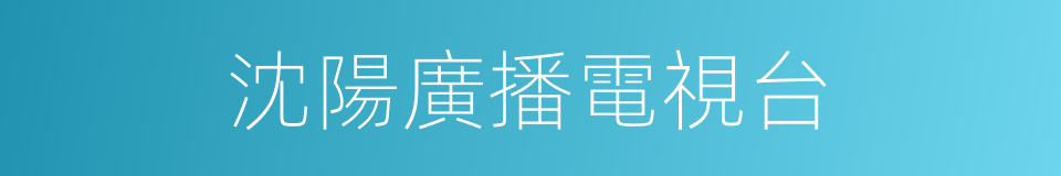 沈陽廣播電視台的同義詞