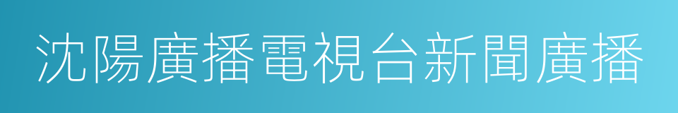 沈陽廣播電視台新聞廣播的同義詞