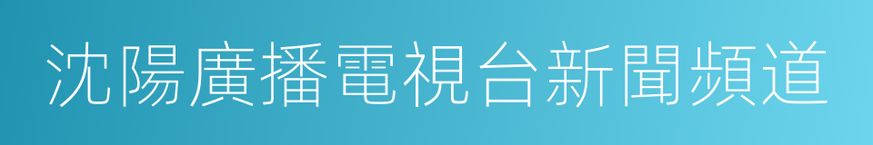 沈陽廣播電視台新聞頻道的同義詞