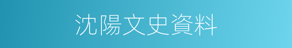 沈陽文史資料的同義詞