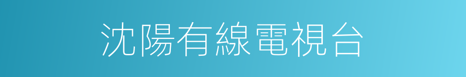 沈陽有線電視台的同義詞
