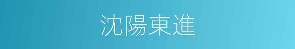 沈陽東進的同義詞