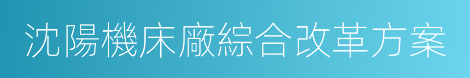 沈陽機床廠綜合改革方案的同義詞