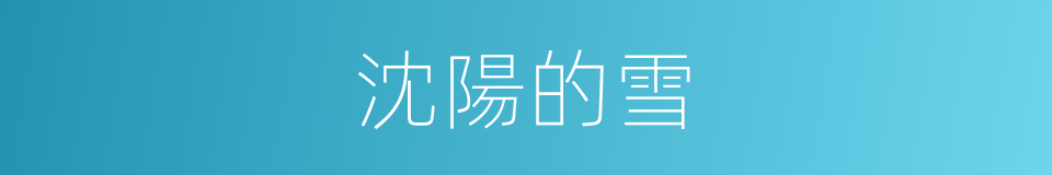 沈陽的雪的同義詞