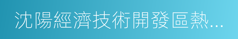 沈陽經濟技術開發區熱電有限公司的同義詞