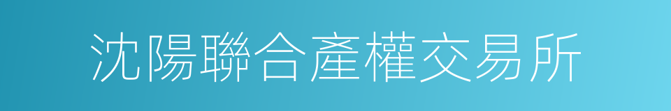 沈陽聯合產權交易所的同義詞