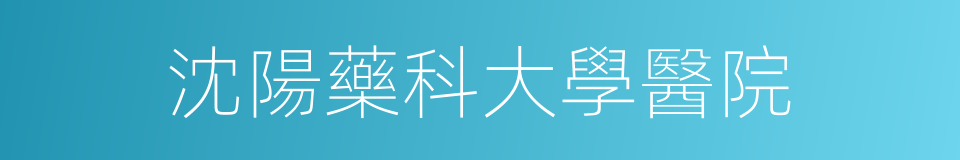 沈陽藥科大學醫院的同義詞