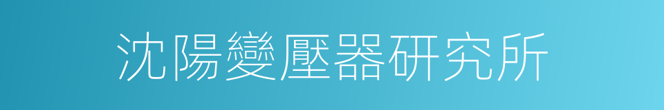 沈陽變壓器研究所的同義詞