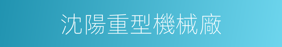 沈陽重型機械廠的同義詞