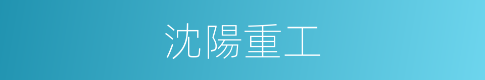 沈陽重工的同義詞