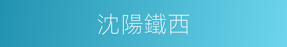 沈陽鐵西的同義詞