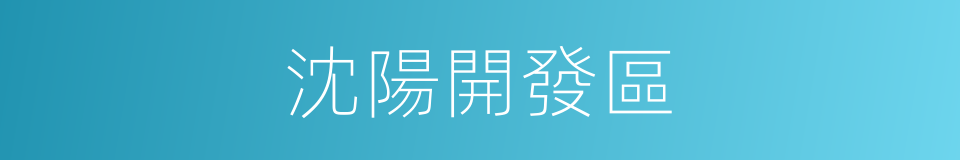 沈陽開發區的同義詞