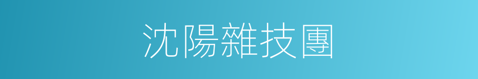 沈陽雜技團的同義詞