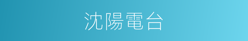 沈陽電台的同義詞