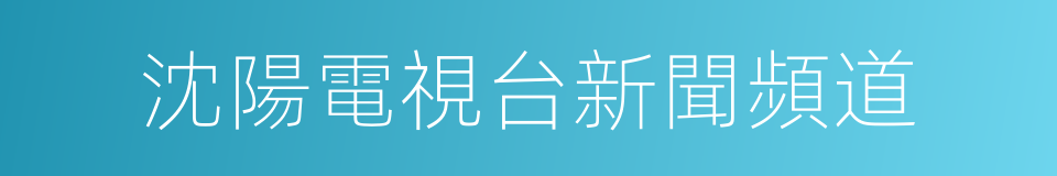 沈陽電視台新聞頻道的同義詞