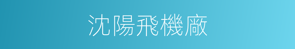 沈陽飛機廠的同義詞