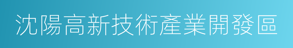 沈陽高新技術產業開發區的同義詞