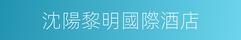 沈陽黎明國際酒店的同義詞