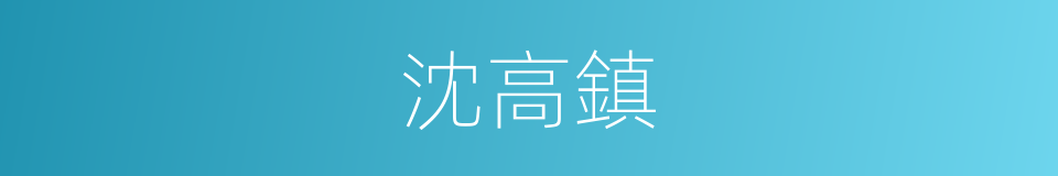 沈高鎮的同義詞