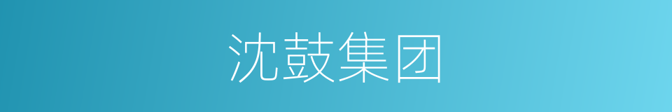 沈鼓集团的同义词