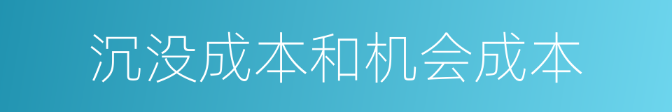 沉没成本和机会成本的同义词