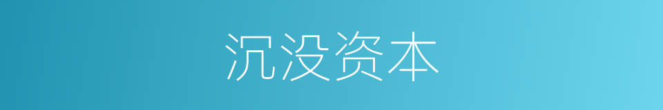 沉没资本的同义词