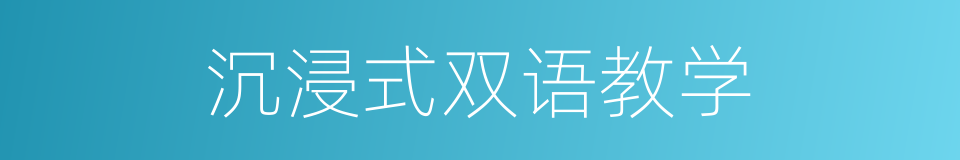 沉浸式双语教学的同义词