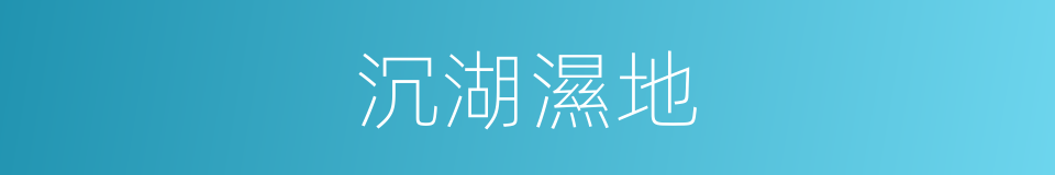 沉湖濕地的同義詞