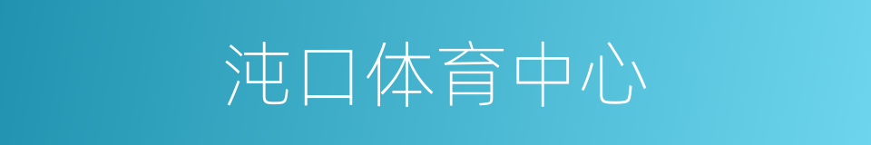 沌口体育中心的同义词