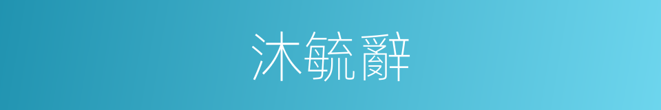 沐毓辭的同義詞