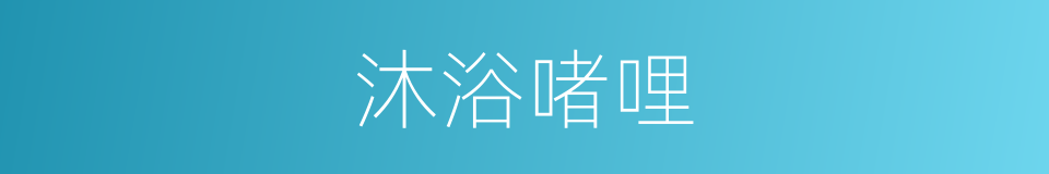 沐浴啫哩的同义词