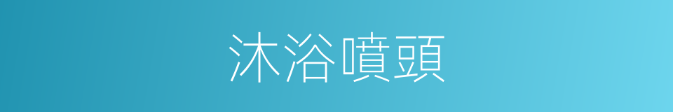 沐浴噴頭的同義詞