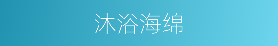 沐浴海绵的同义词