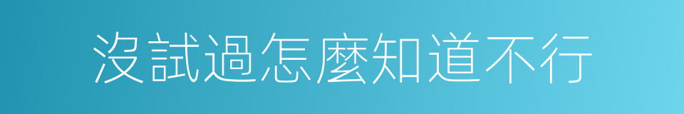 沒試過怎麼知道不行的同義詞