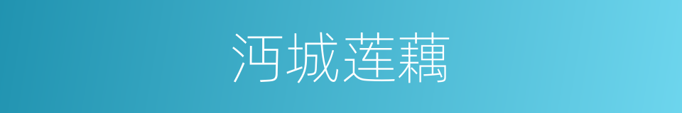 沔城莲藕的同义词