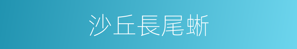 沙丘長尾蜥的同義詞
