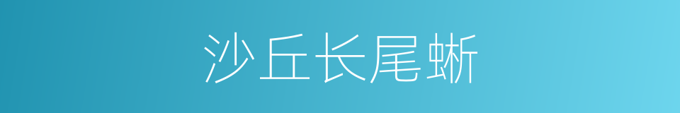 沙丘长尾蜥的同义词