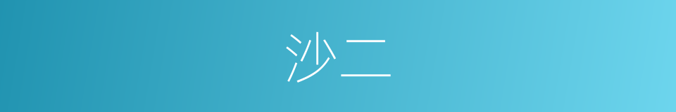 沙二的同义词