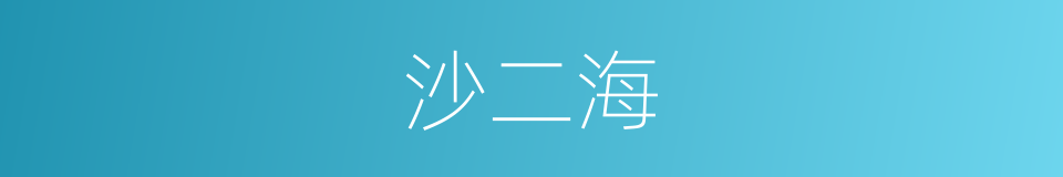 沙二海的同义词