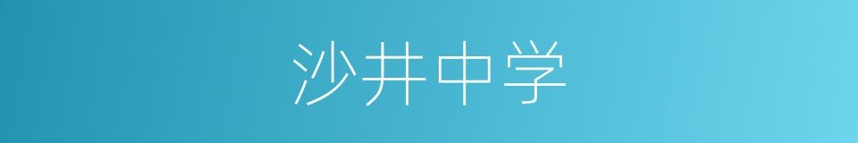 沙井中学的同义词