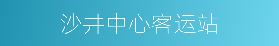 沙井中心客运站的同义词