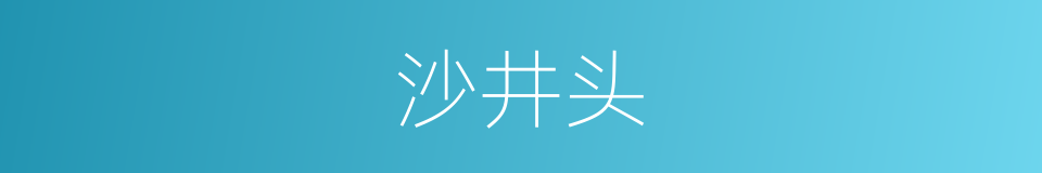 沙井头的同义词