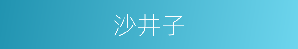 沙井子的同义词